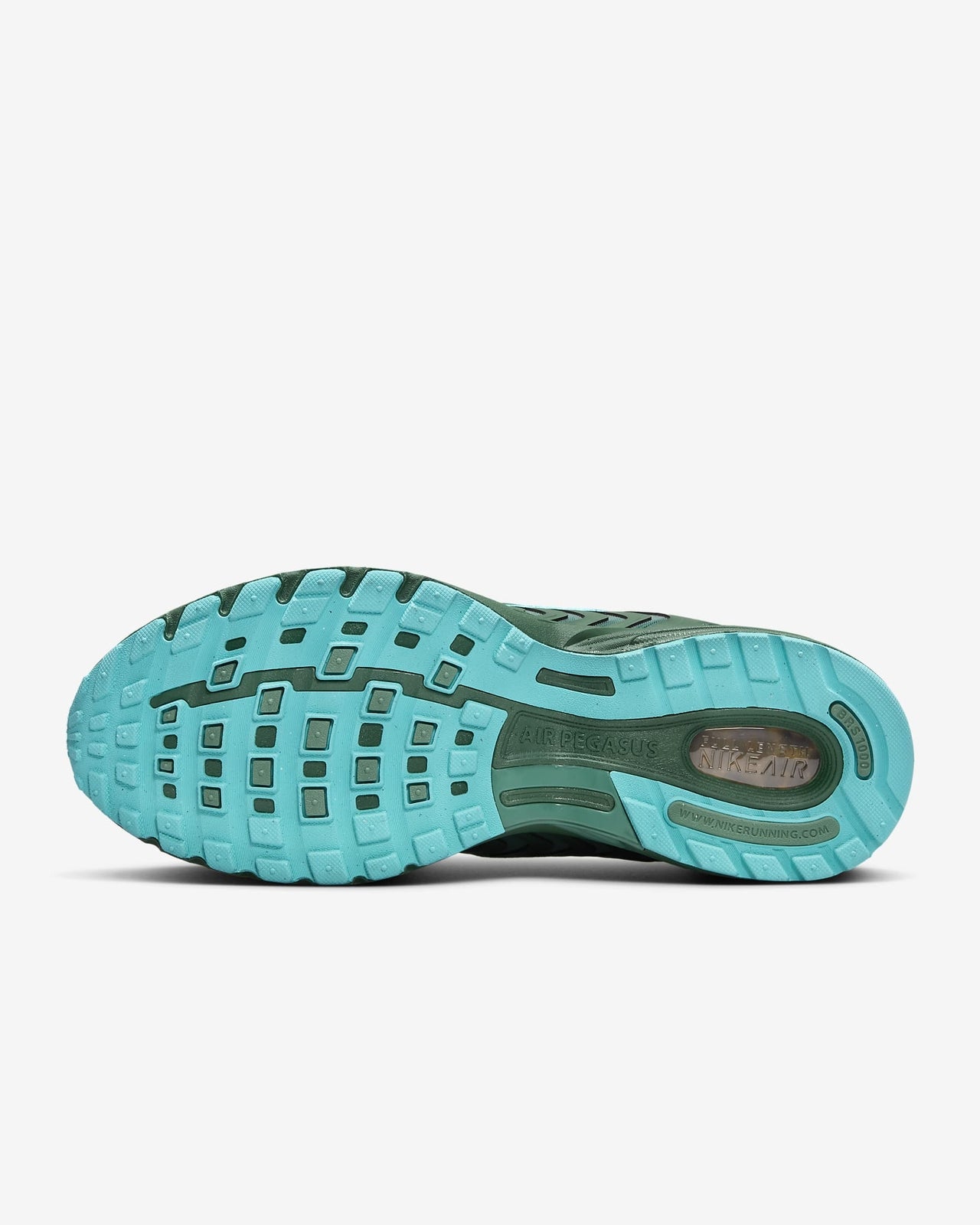 FZ7354-300 Nike Air Pegasus 2K5 Fir Bicoastal Dusty Cactus (Men's)