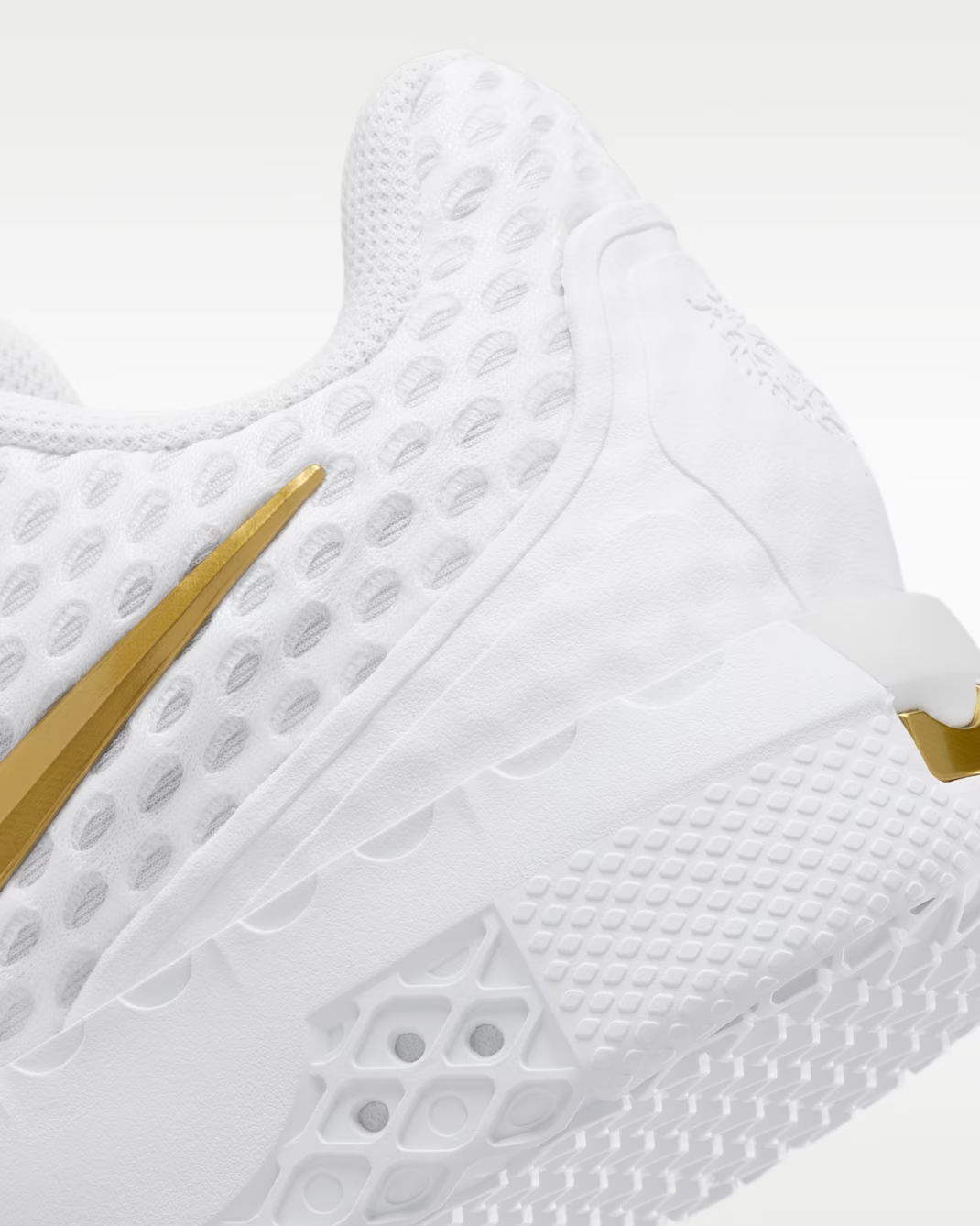 IQ9845-100 Nike LeBron Witness X EP "White/Photon Dust" (Men's)