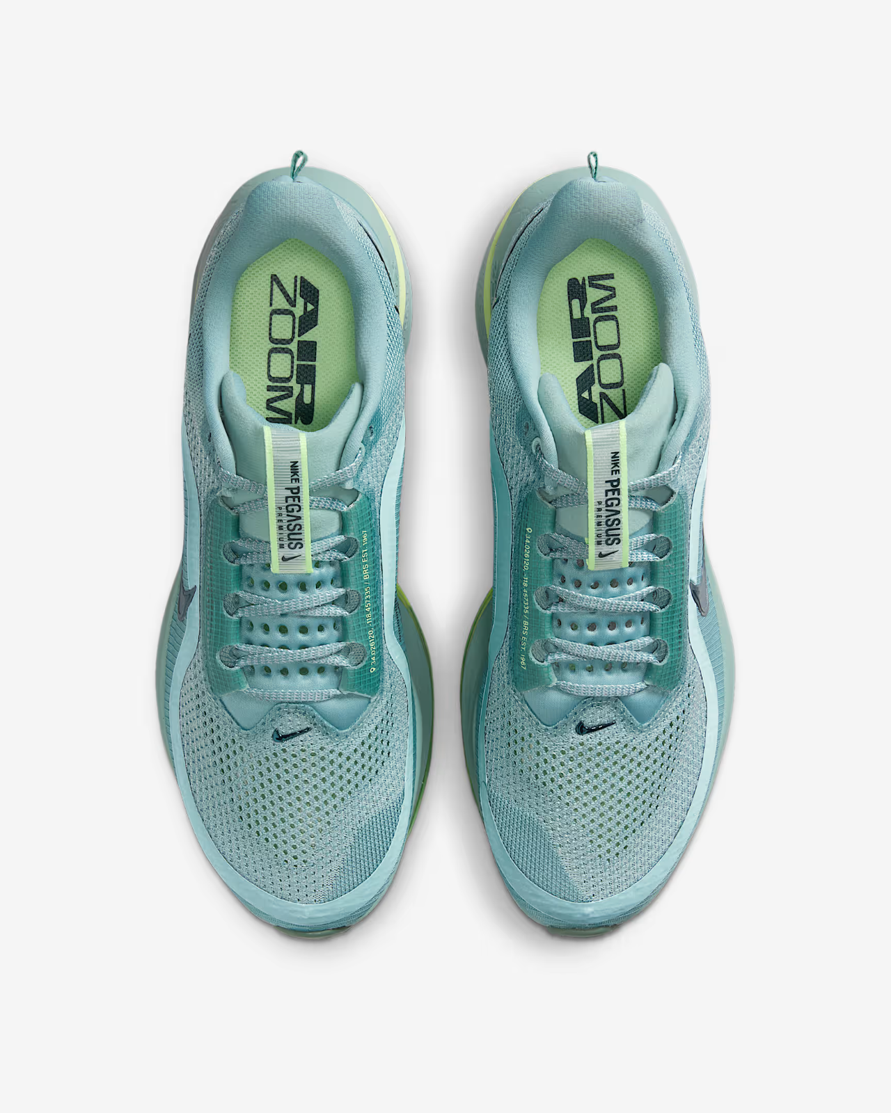 HQ2592-009 Nike Pegasus Premium Cannon (Men's)
