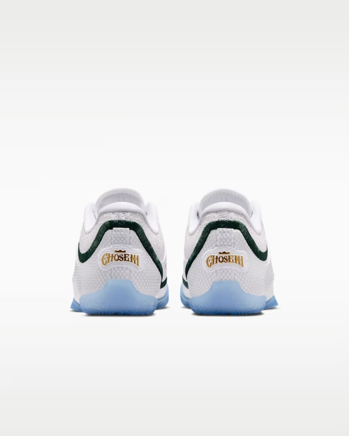 HV3596-100 Nike GS LeBron 23 From This Point Forward