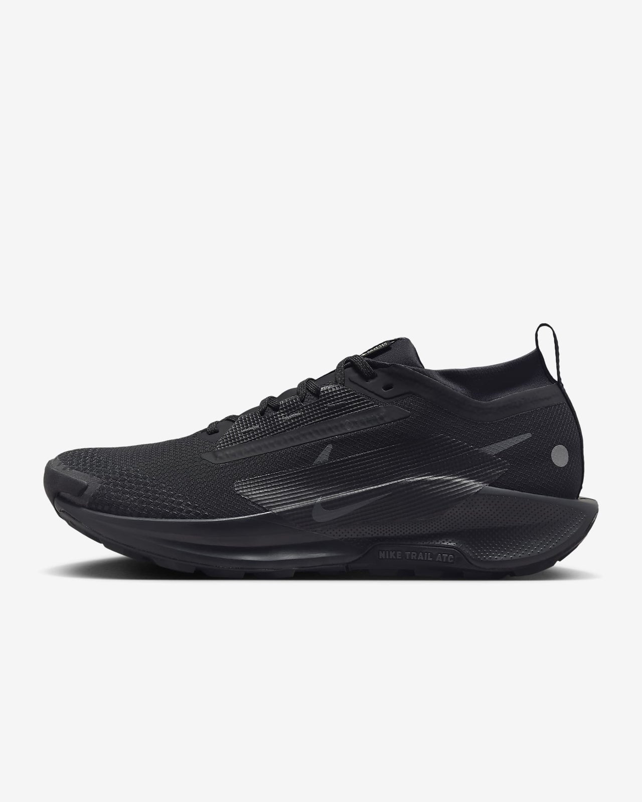 FQ0908-002 Nike Pegasus Trail 5 GORE-TEX Black Anthracite (Men's)