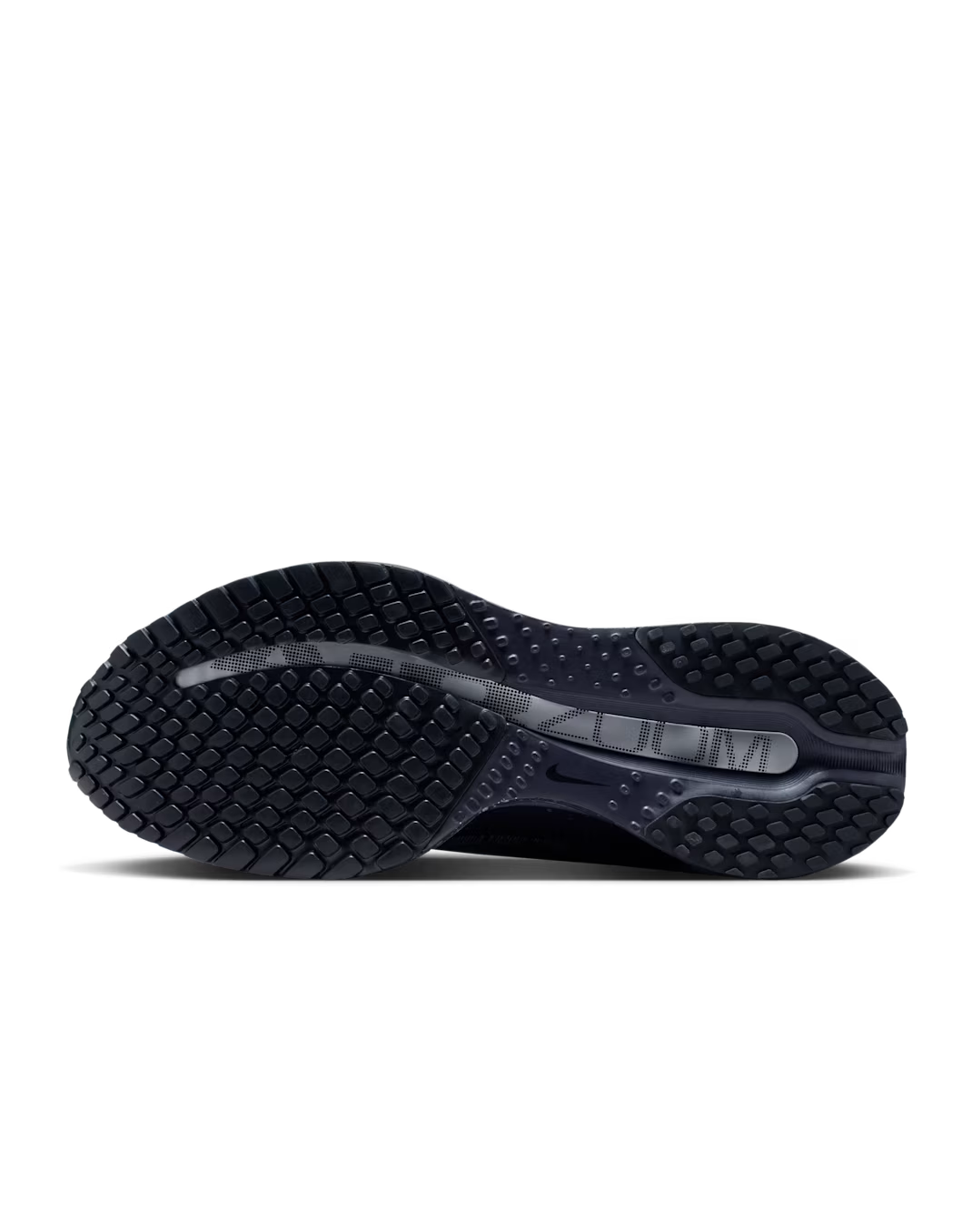 IH0861-500 Nike Pegasus Premium SE Cave Purple Metallic Silver Black (Women's)