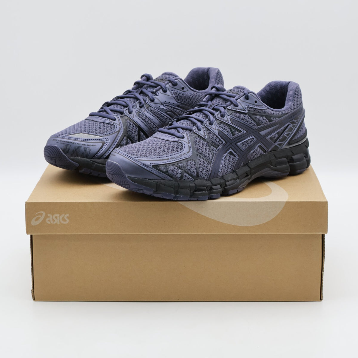 1203A388-500 Asics Gel-Kayano 20 Indigo Fog Black (Men's)