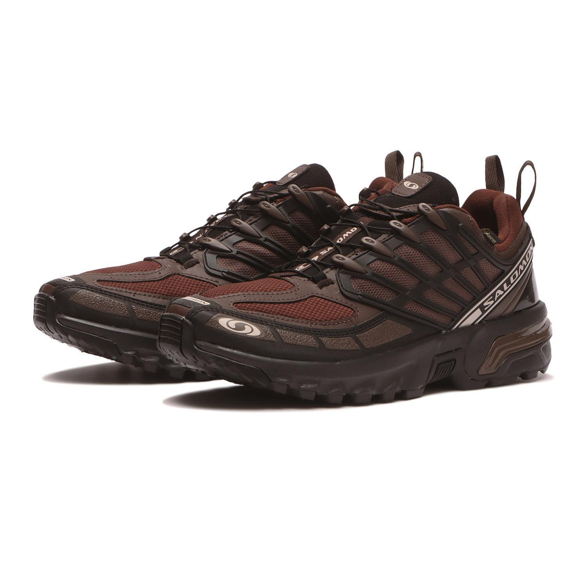L47736400 Salomon ACS Pro GORE-TEX Roasted Clay Black Rum Raisin (Men's)