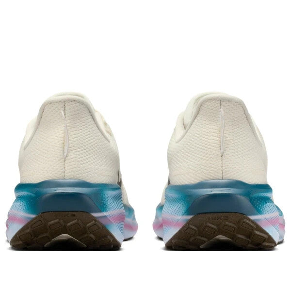 IQ1153-109 Nike Pegasus 41 Sail Multi Color (Women's)