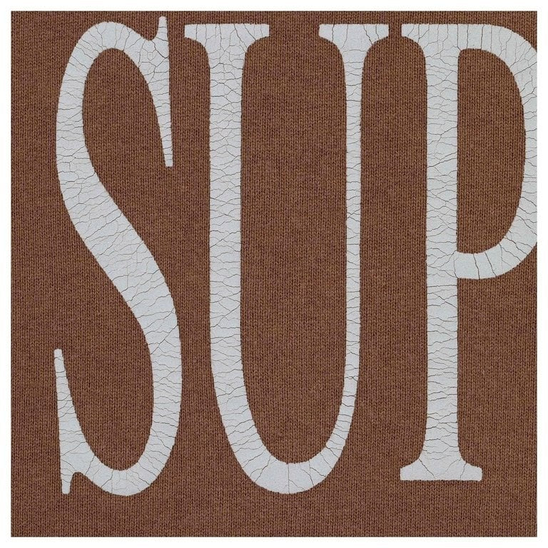 Supreme Capital Hooded Sweatshirt Brown