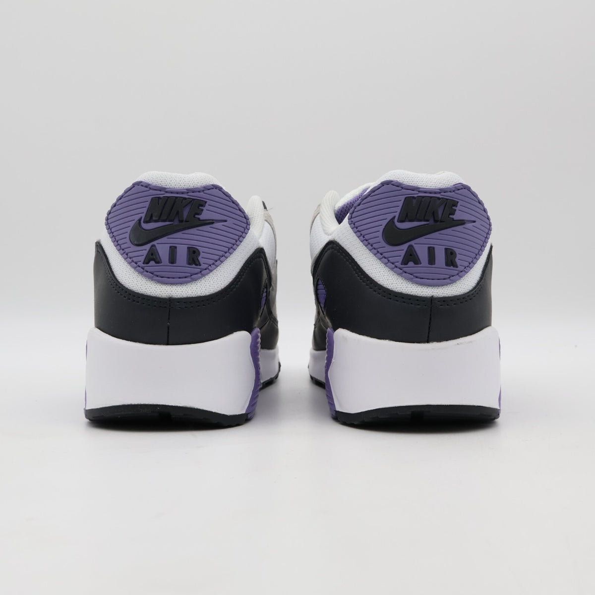 DM0029-114 Nike Air Max 90 Dusty Amethyst Photon Dust Light Smoke Grey (Men's)