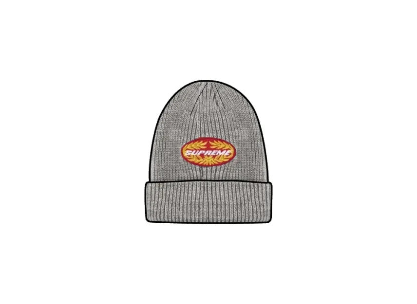 Supreme Terminal Beanie "Grey"