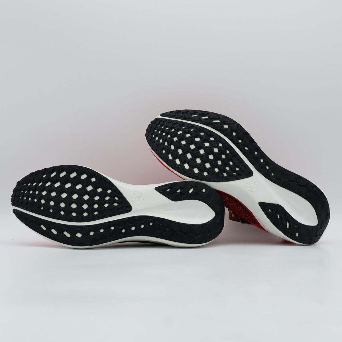 FD2722-602 Nike Pegasus 41 University Red Light Crimson Summit White (Men's)