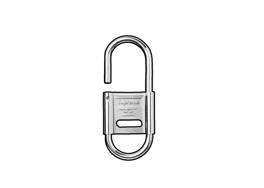 Supreme CDW Delta Carabiner Silver