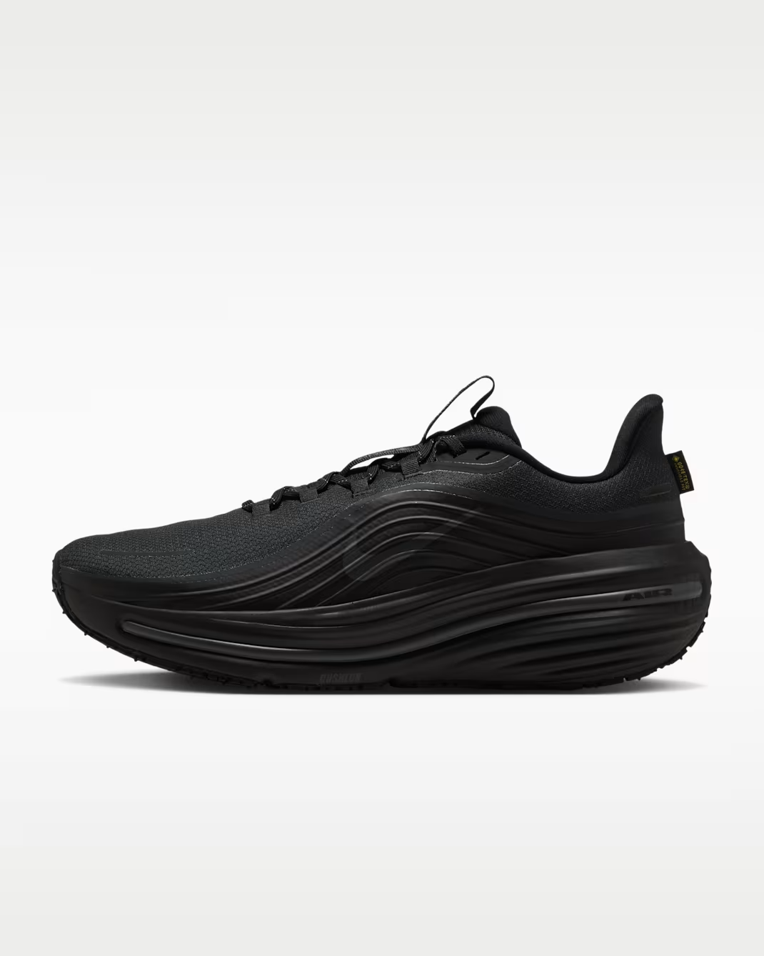 IO7953-001 Nike Winflo 12 GORE-TEX "Black/Dark Smoke Grey" (Men's)