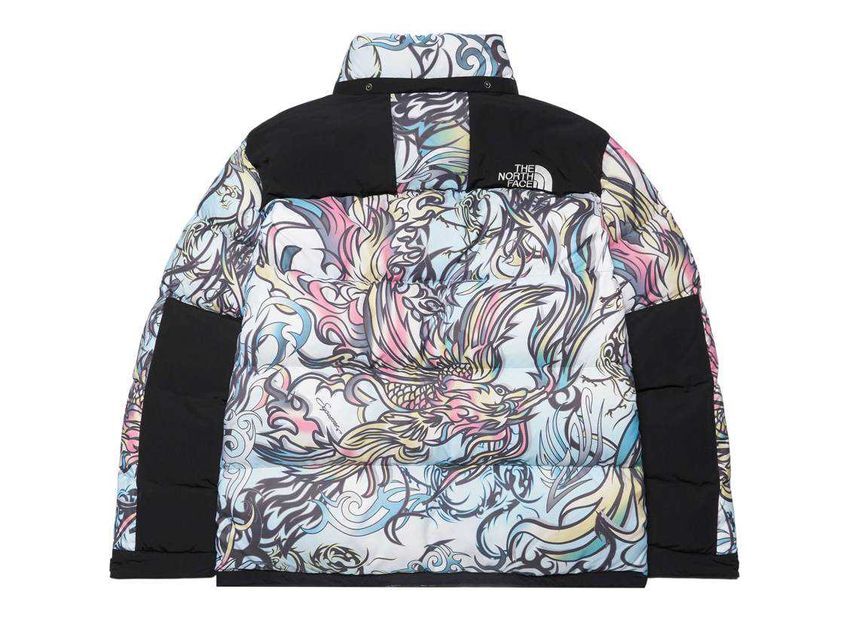 Supreme The North Face 700-Fill Down Parka Multicolor Dragon
