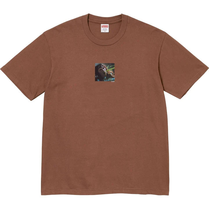 Supreme The Exorcist Puke Tee Brown