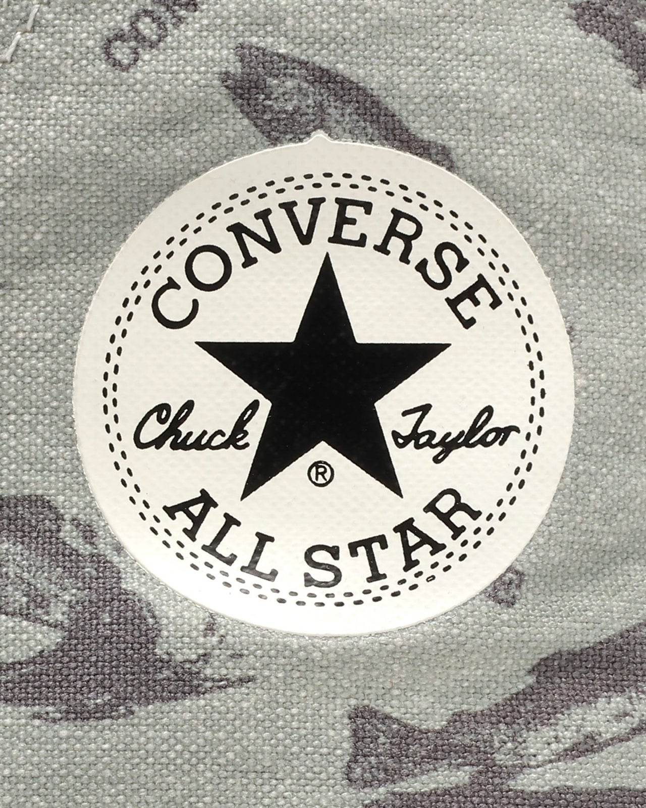 31312051 Converse All Star US Hunting Hi Trout (Men's)