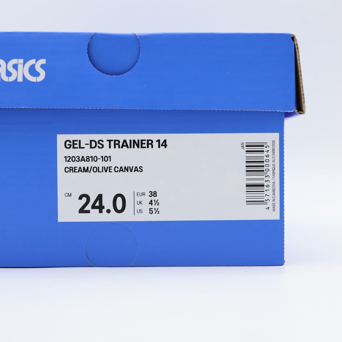 1203A810-101 Temptation Vacation Ã Asics Gel-DS Trainer 14 Cream  (Men's)