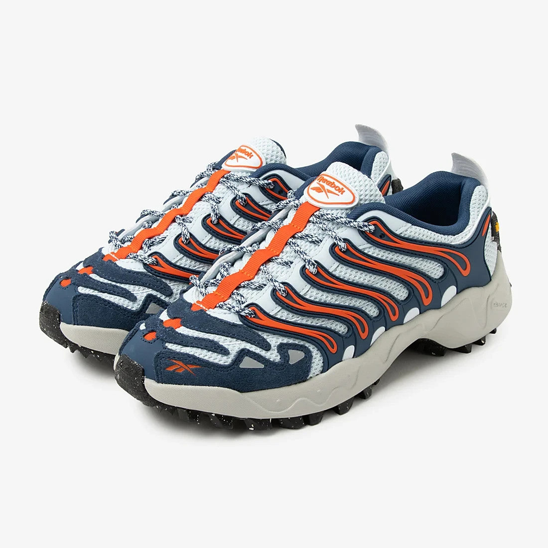 100272226 Reebok TRAILZILLO DMX (Men's)