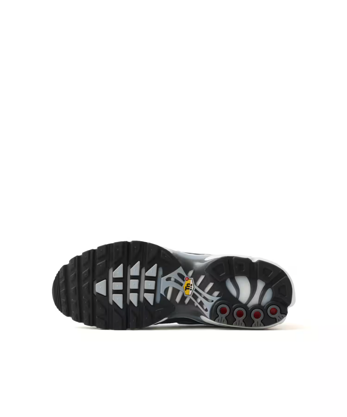 IV5757-070 Nike Air Max Plus "Smoke Grey/Light Armory Blue" (Men's)