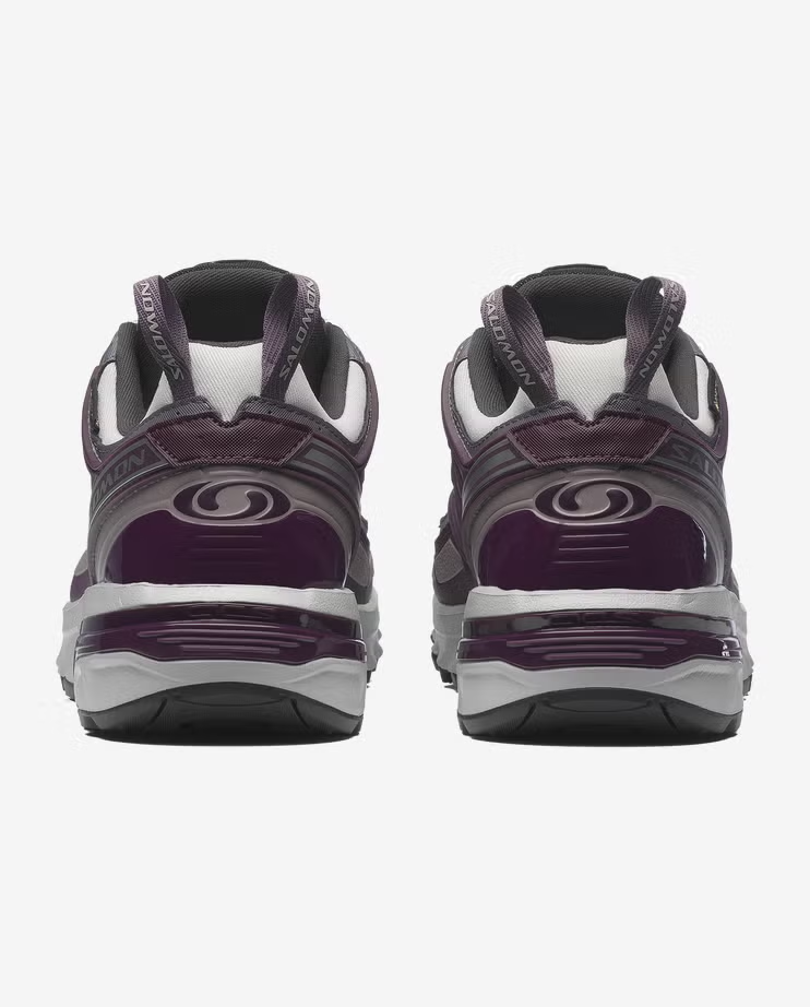L47867100 Salomon ACS Pro GORE-TEX Plum Perfect Gull (Men's)