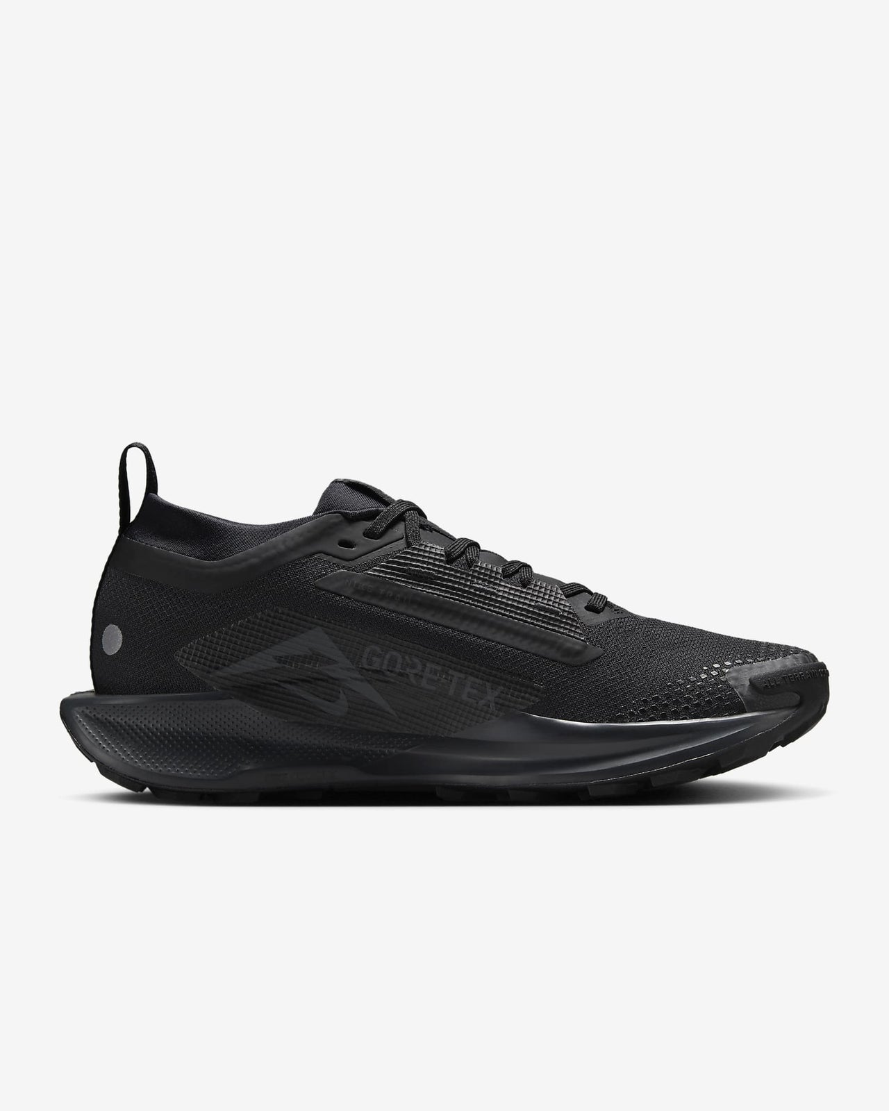 FQ0912-002 Nike Pegasus Trail 5 GORE-TEX Black Anthracite (Women's)