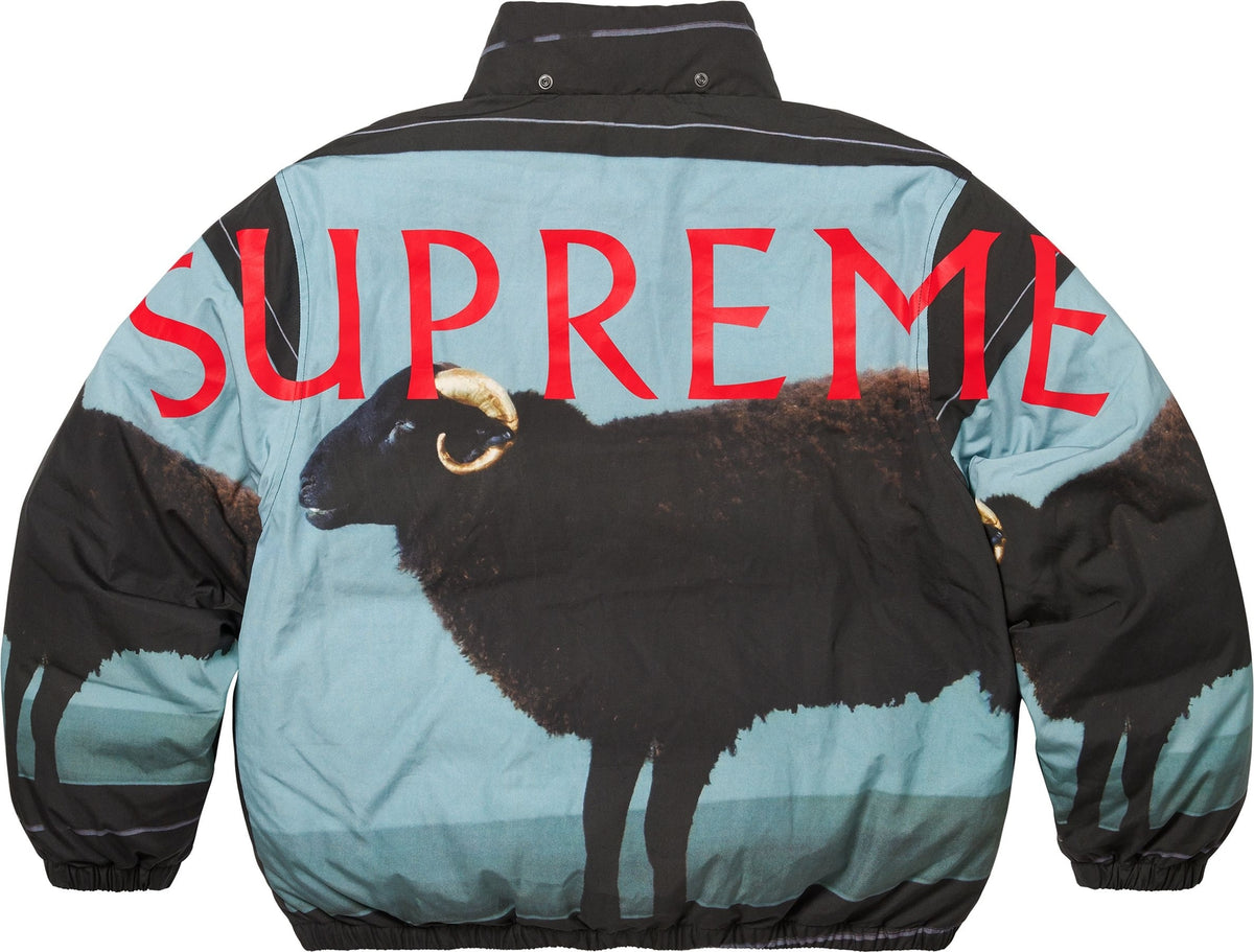 Supreme Damien Hirst Down Puffer Jacket Black