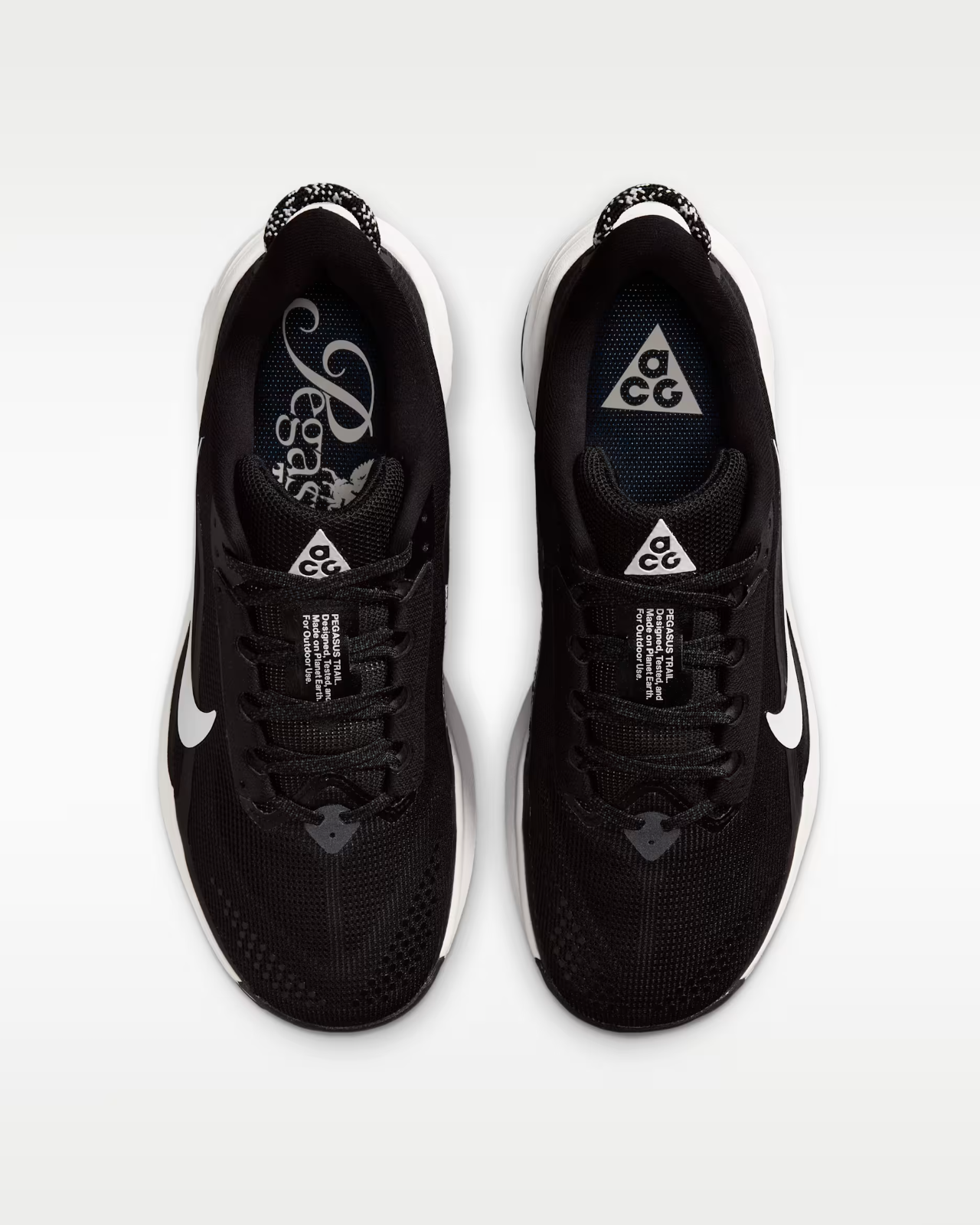 HV8121-001 Nike ACG Pegasus Trail "Black/Summit White" (Women's)