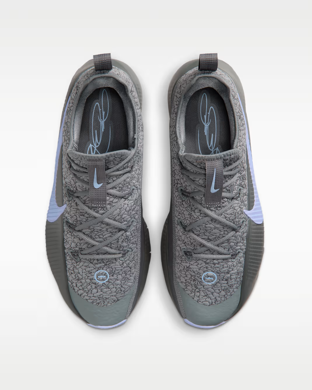 FJ6151-008 Nike LeBron TR1 Cool Grey Aluminum (Men's)