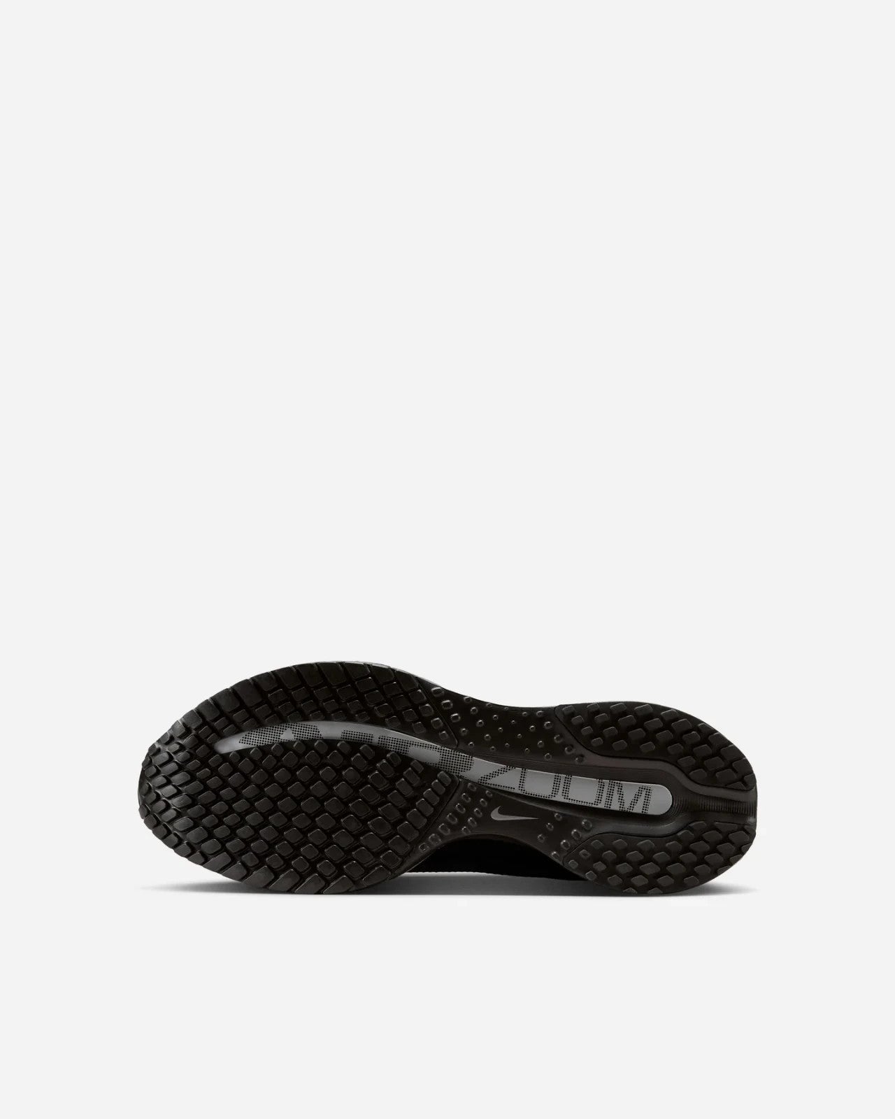 HQ2593-004 Nike Women's Pegasus PRM Black Metallic Silver (Women's)