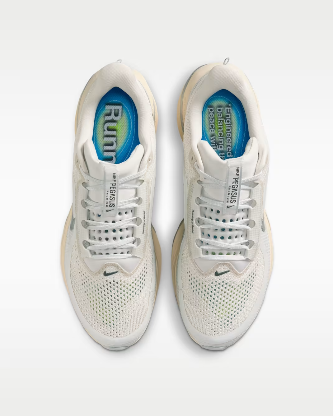 IQ0307-094 Nike Pegasus Premium Running is Mental (Men's)