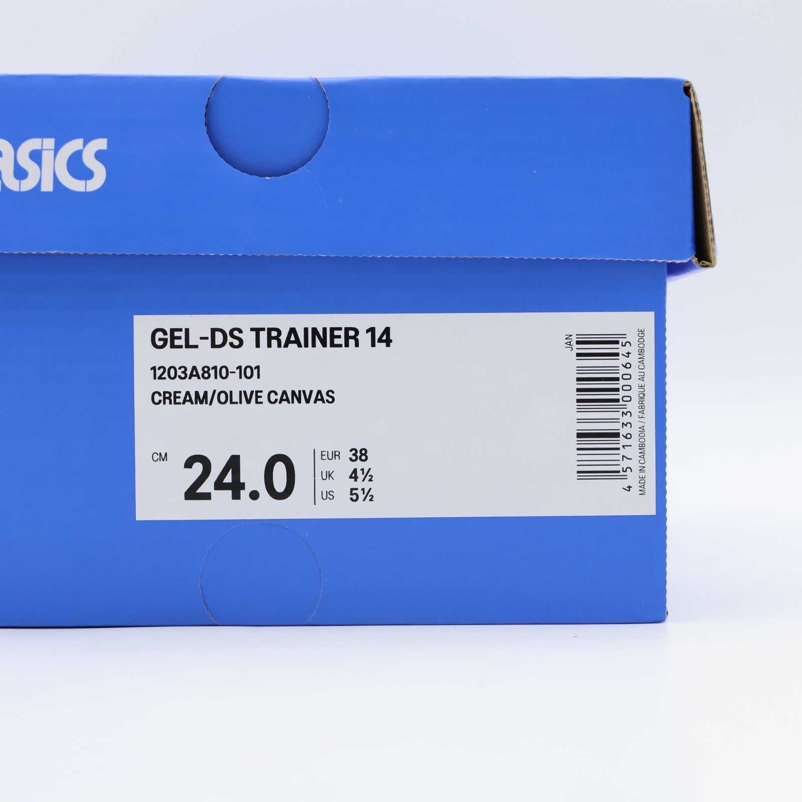 1203A810-101 Temptation Vacation Ã Asics Gel-DS Trainer 14 Cream  (Men's)