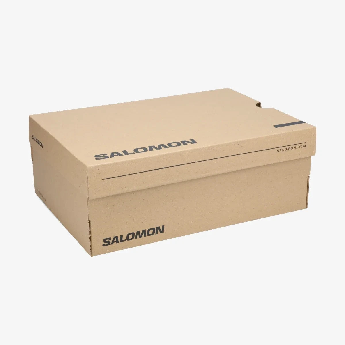 L49216900 Salomon XT-4 OG "Ftw Silver/Black/Lemon" (Men's)