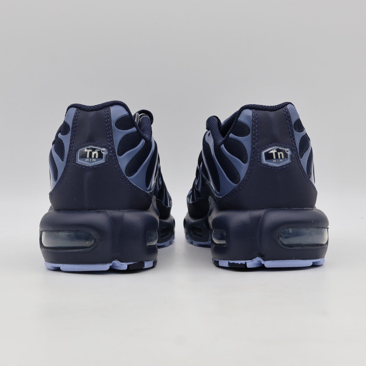 IM6601-451 Nike Air Max Plus Obsidian Aluminum Diffused Blue (Men's)