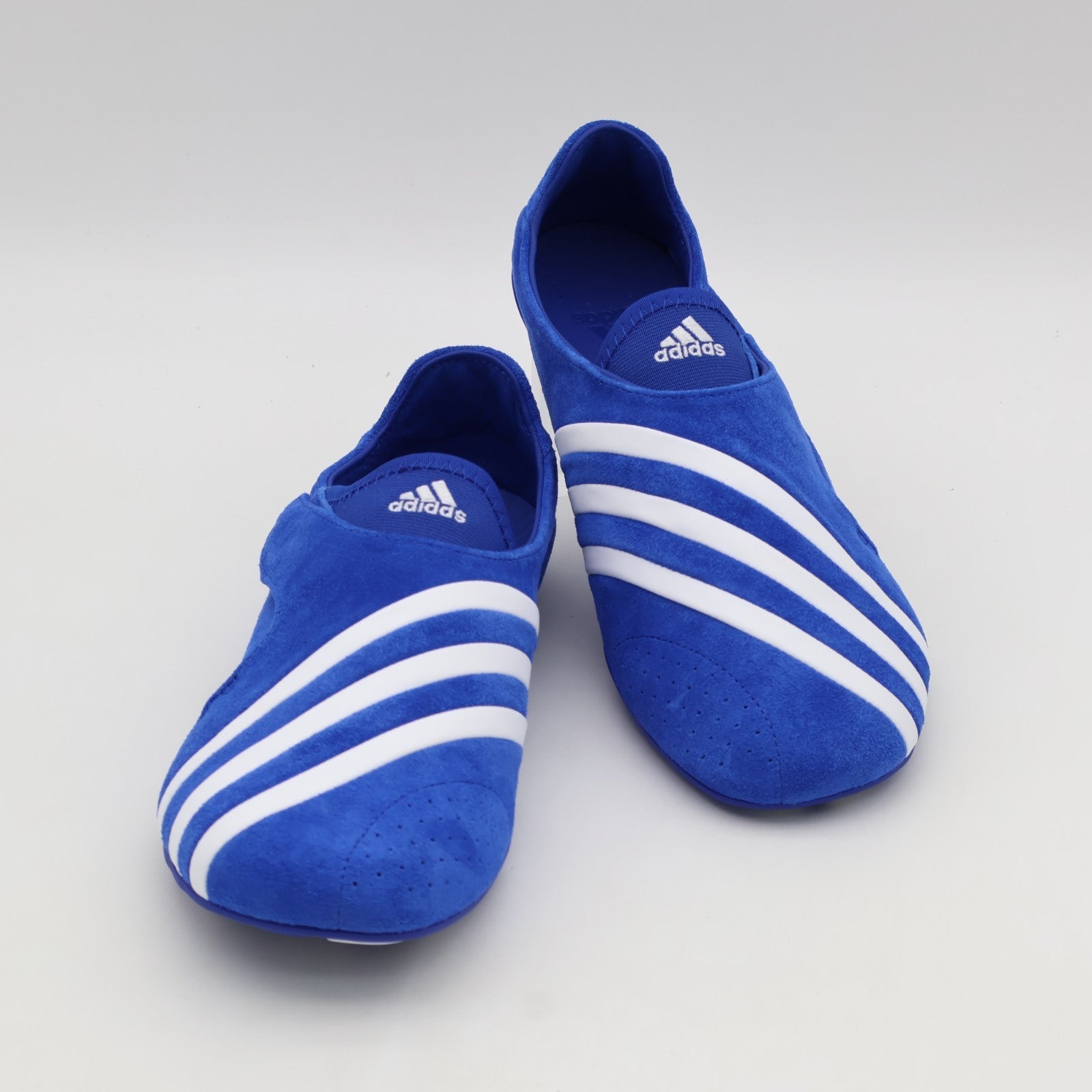 KJ9380 Pharrell Williams Ã adidas Vario Flat Earther "Blue" (Men's)