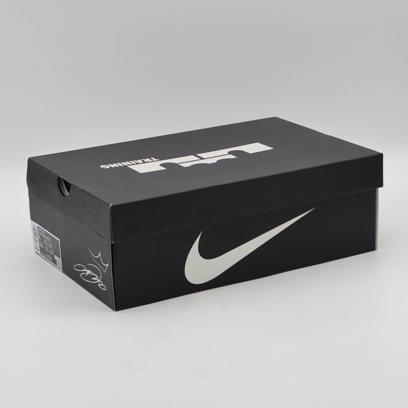 FJ6151-006 LeBron TR 1 Workout Shoes Wolf Grey White Bronze Metallic (Men's)