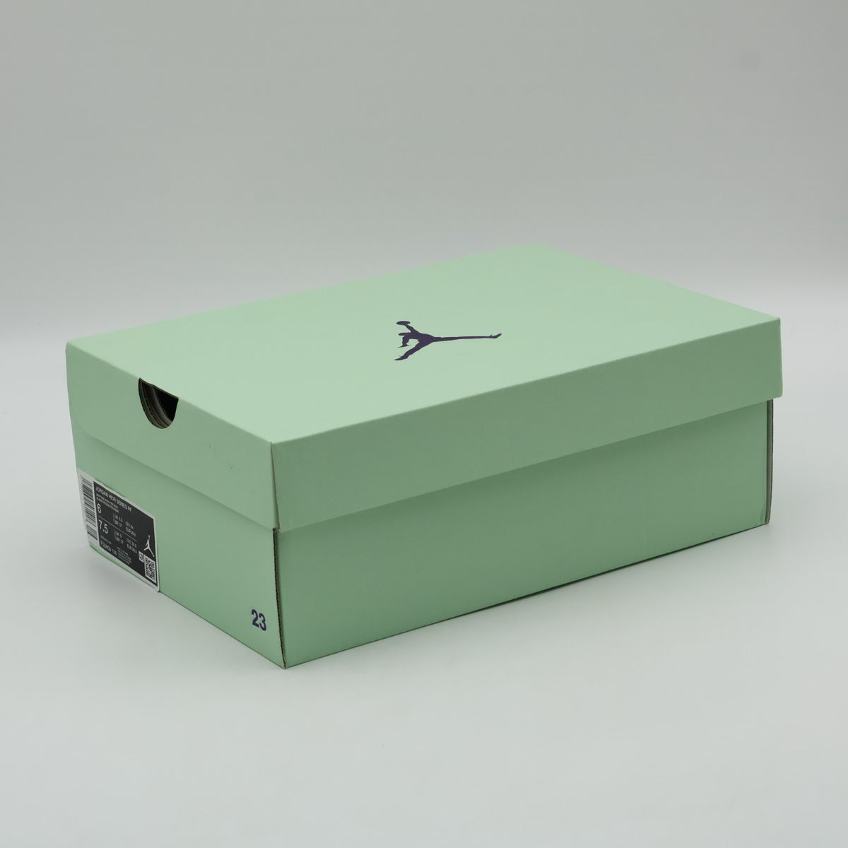 FQ3859-106 Nike Jordan Heir Series Blood Line (Men's)