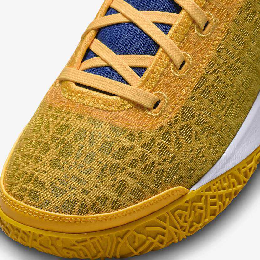 DZ2916-700 Titan Ã Nike Zoom LeBron NXXT Gen University Gold