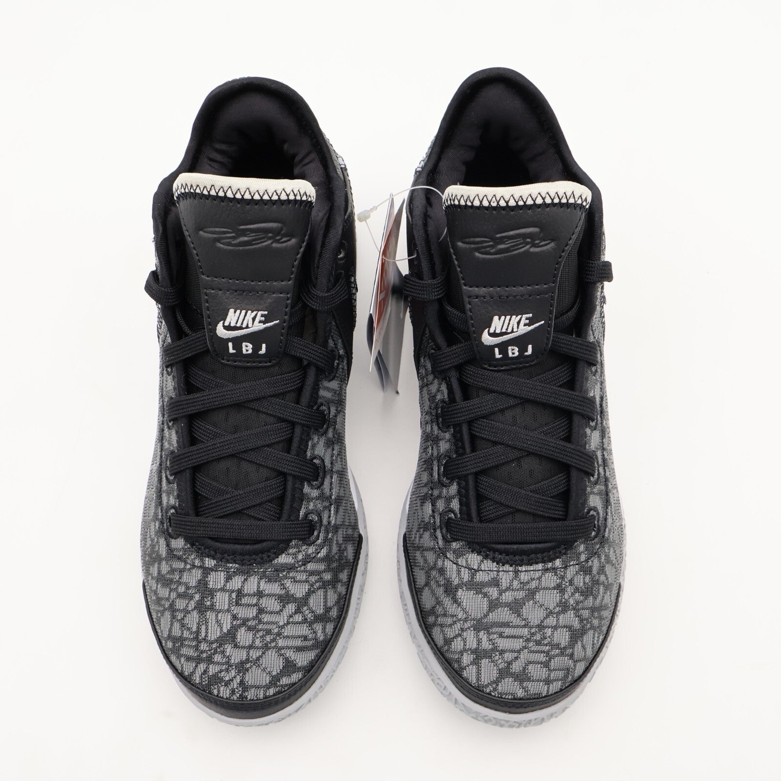 DR8788-005 Nike LeBron NXXT Gen Black Wolf Grey White Light Bone (Men's)