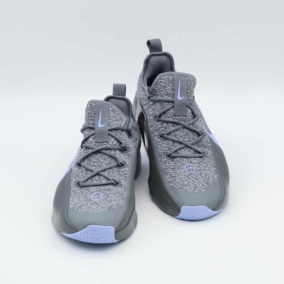 FJ6151-008 Nike LeBron TR1 Cool Grey Aluminum (Men's)