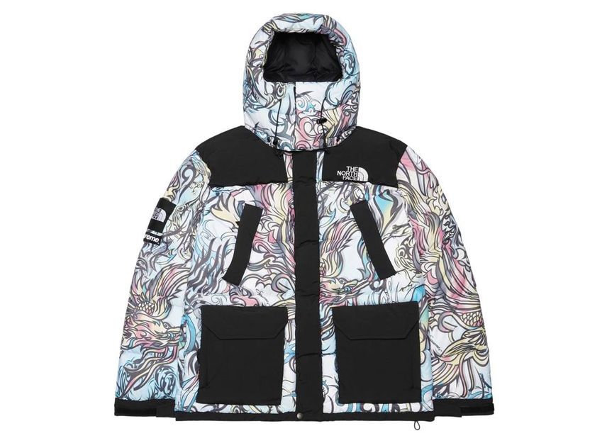 Supreme The North Face 700-Fill Down Parka Multicolor Dragon
