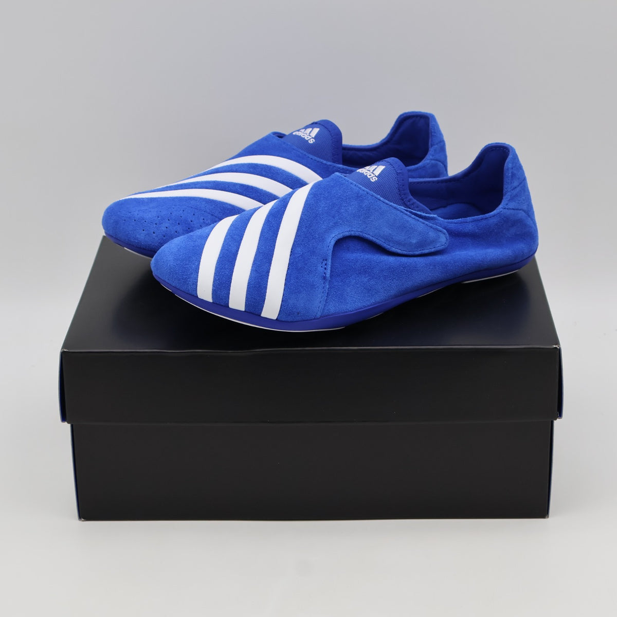 KJ9380 Pharrell Williams Ã adidas Vario Flat Earther "Blue" (Men's)