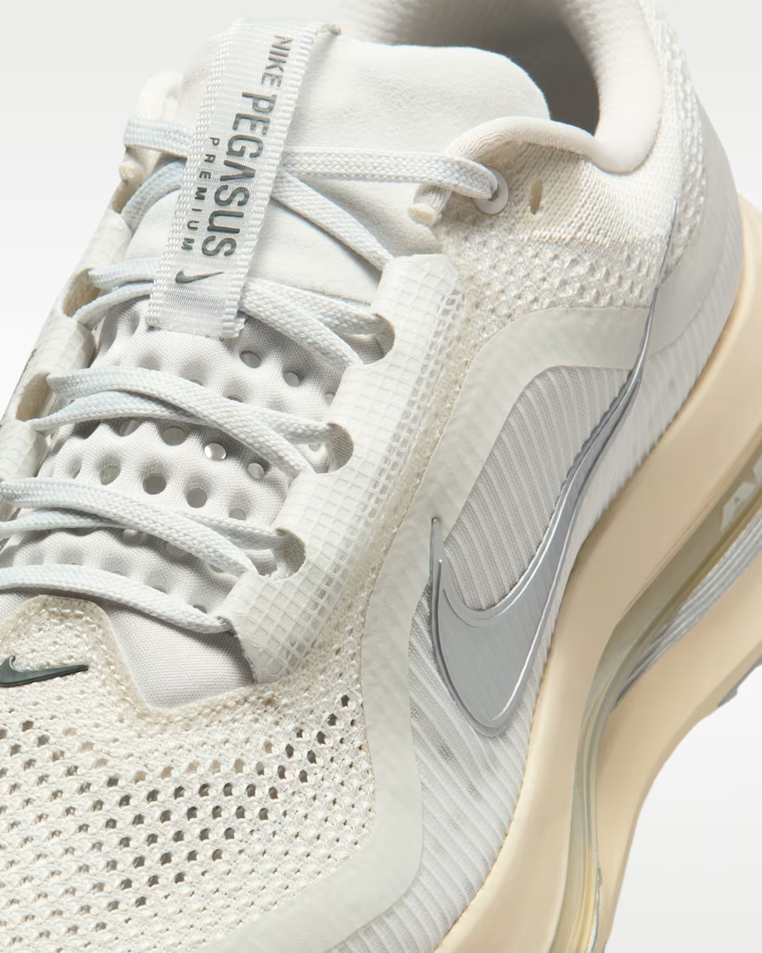 IQ0307-094 Nike Pegasus Premium Running is Mental (Men's)