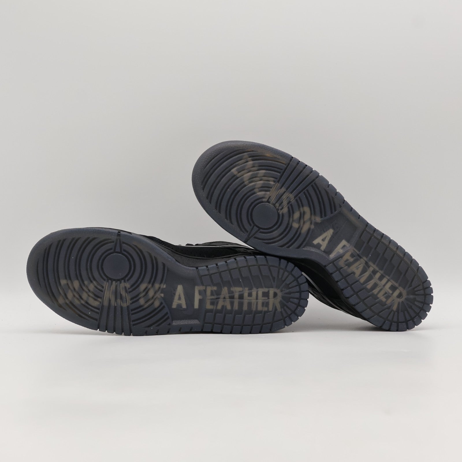HV1470-001 Division Street Nike Dunk Low Lux Oregon Black (Men's)