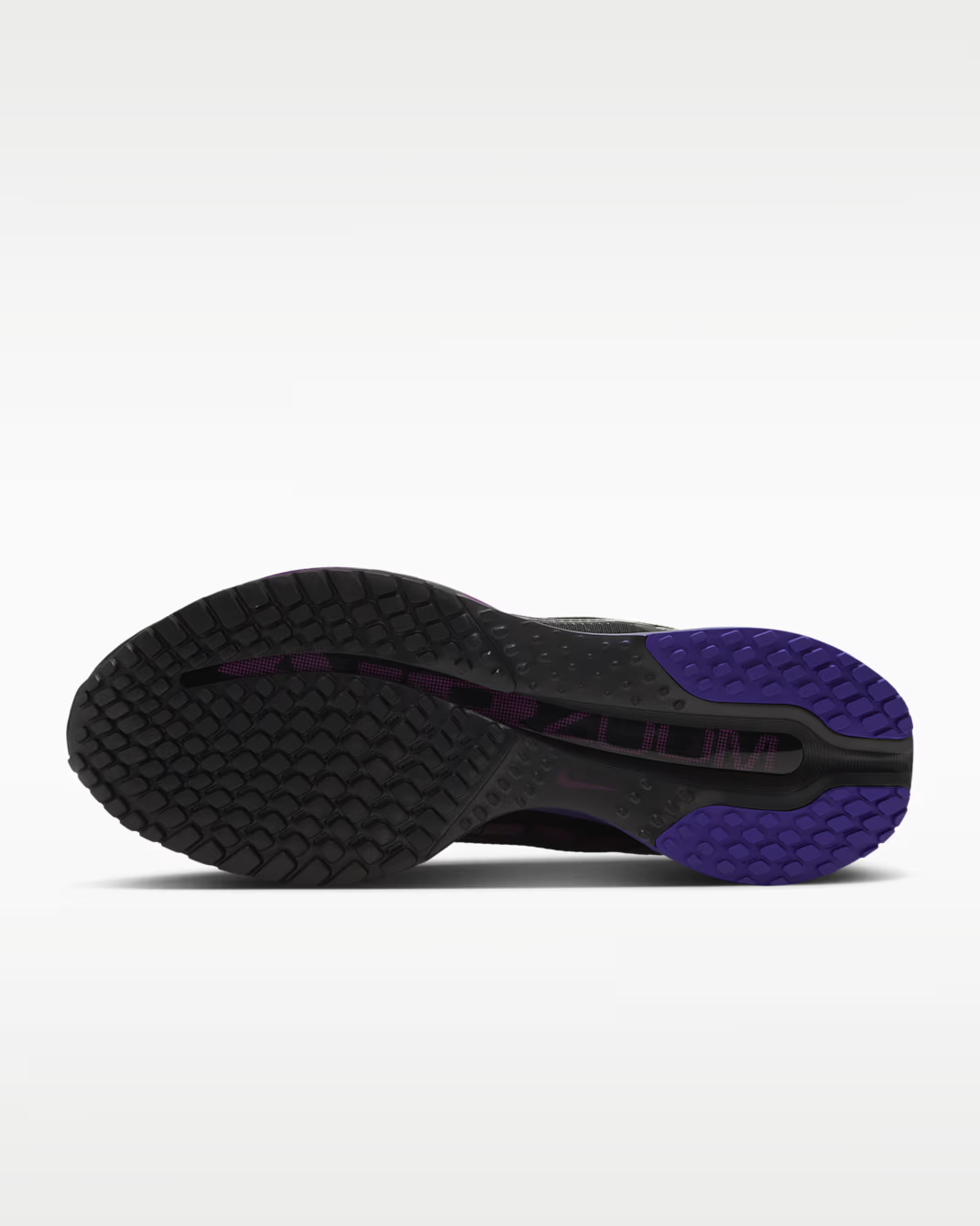 HQ2593-013 Nike Pegasus Premium "Black/Dark Concord" (Women's)