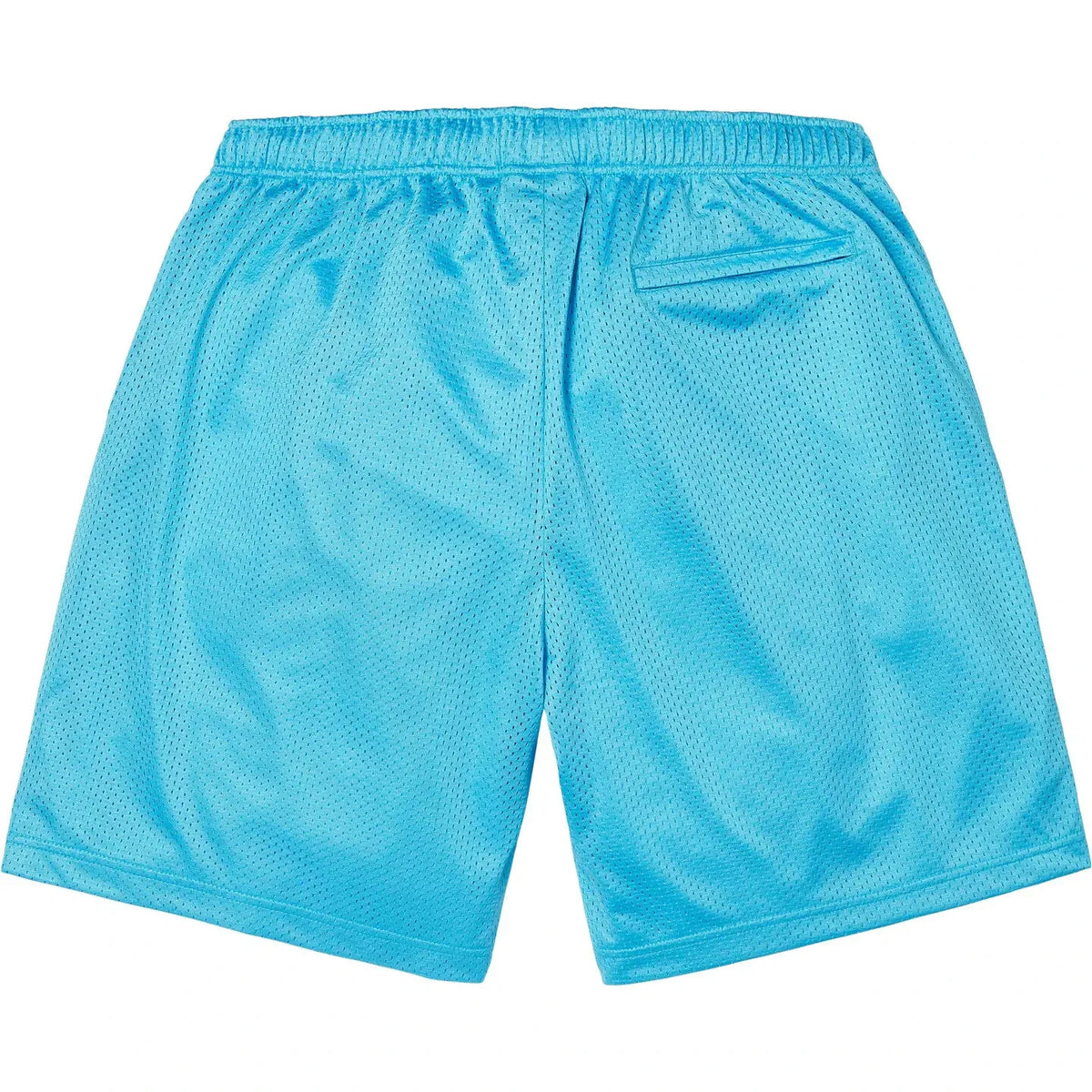 Supreme Small Box Baggy Mesh Short Cyan