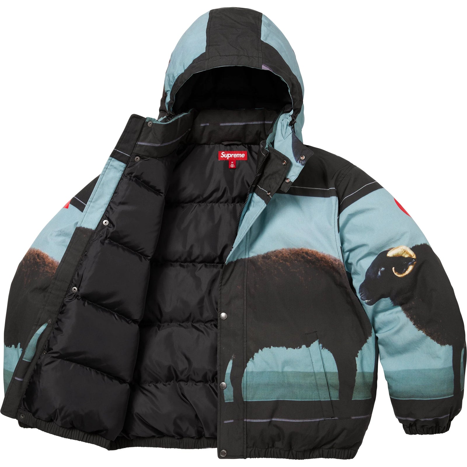 Supreme Damien Hirst Down Puffer Jacket Black