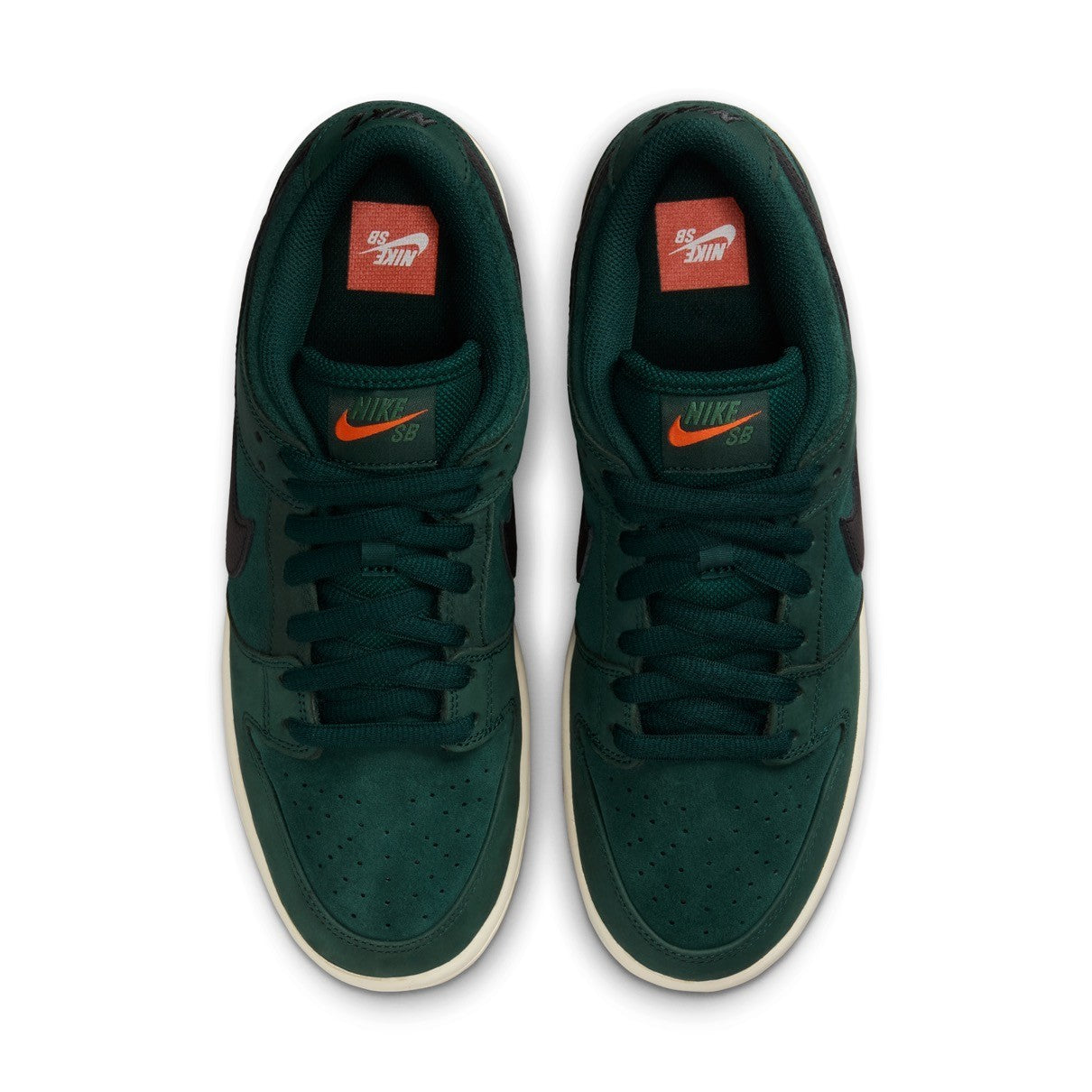 FJ1674-300 Nike SB Dunk Low Pro Deep Fir (Men's)
