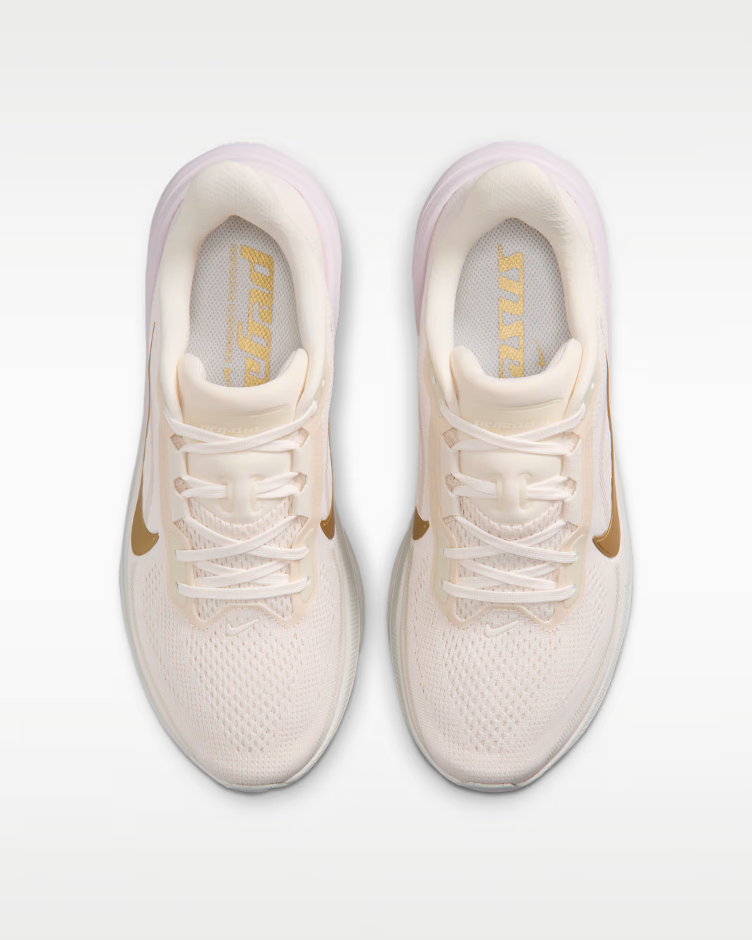 IW1232-102 Nike Pegasus 42 "Chalk/Spruce Aura" (Women's)