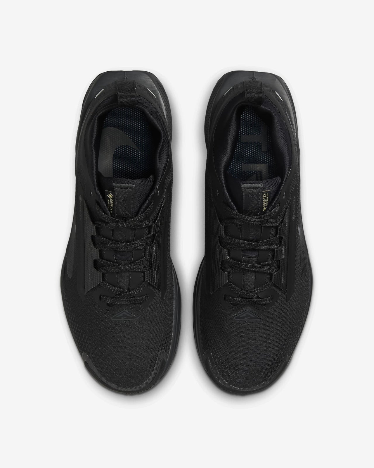 FQ0912-002 Nike Pegasus Trail 5 GORE-TEX Black Anthracite (Women's)