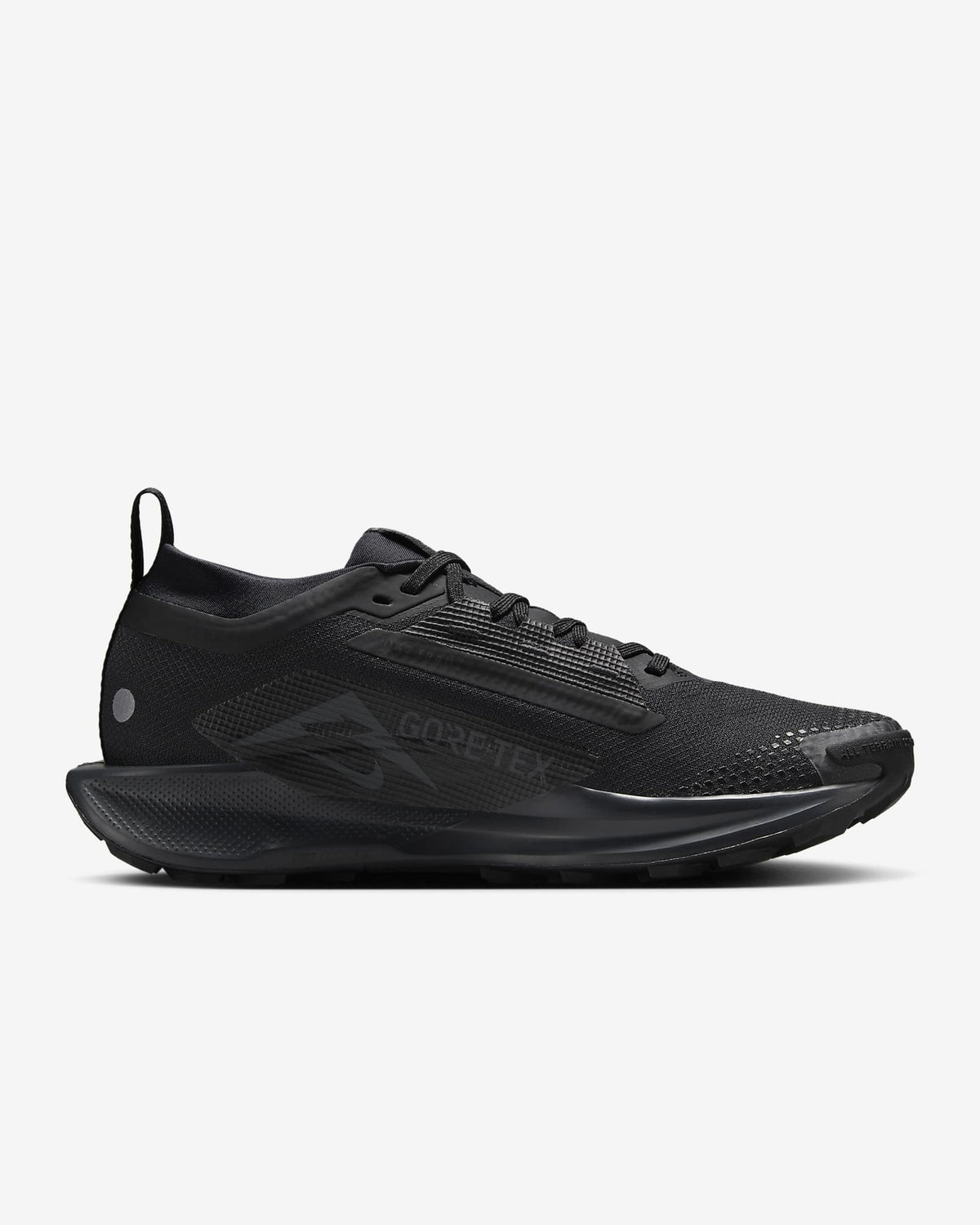 FQ0912-002 Nike Pegasus Trail 5 GORE-TEX Black Anthracite (Women's)