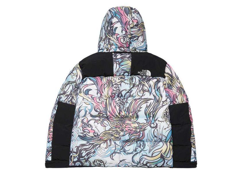 Supreme The North Face 700-Fill Down Parka Multicolor Dragon