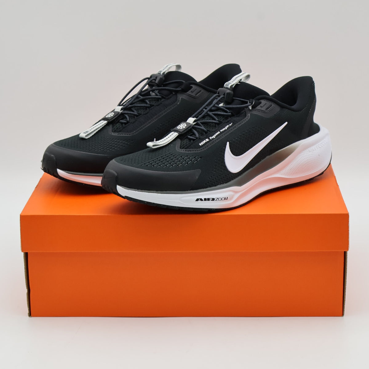 FQ7837-002 Nike Pegasus EasyOn Black Anthracite Photon Dust White (Men's)